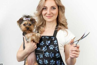Mastering The Art Of Pet Grooming: Essential Tools And Techniques